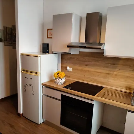 公寓 Fieravecchia Flat *